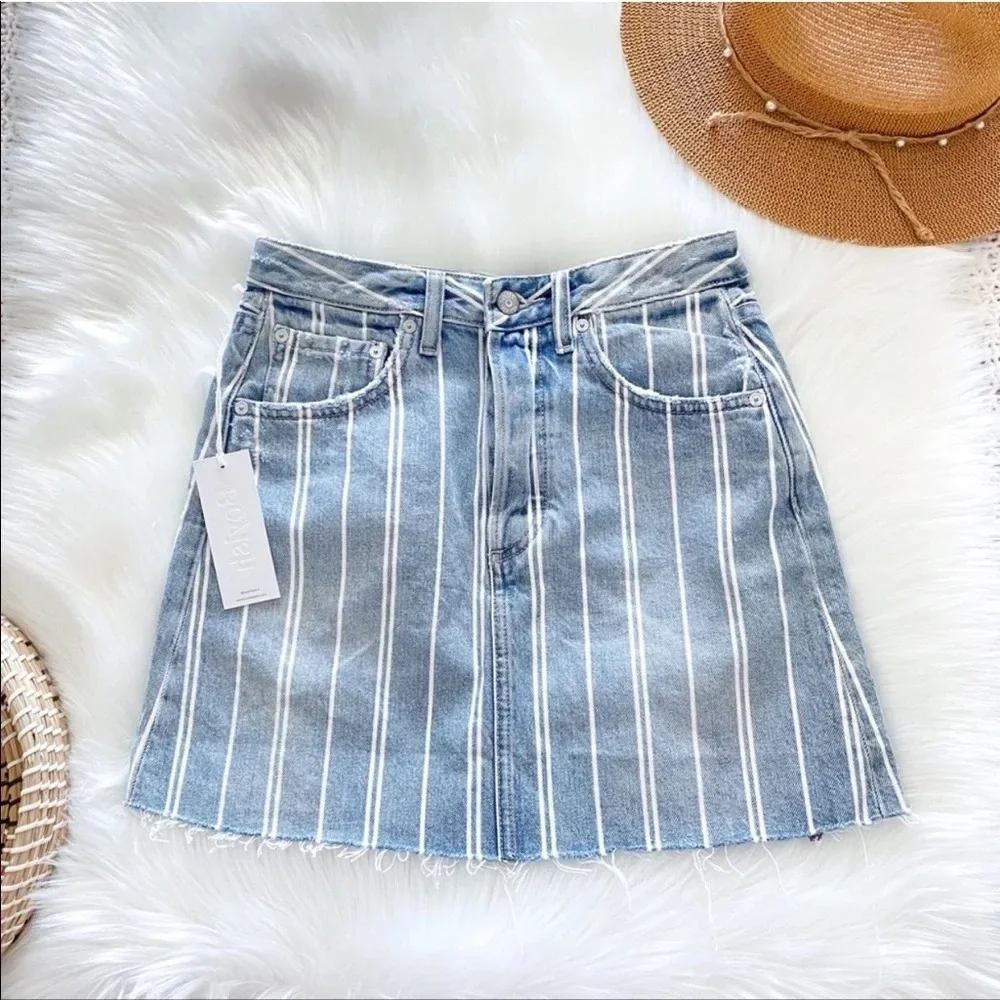 Boyish Denim Mini Skirt Blue Stripe Corey made me criminal Raw Edge High Rise.
